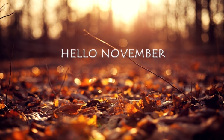 hello-november